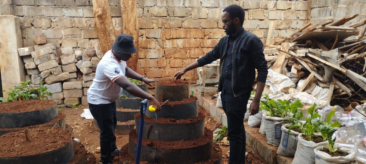 Urban Farming project - Image 2